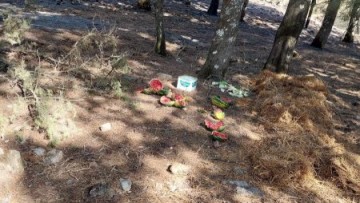 Εθελοντές αφήνουν φαγητό και νερό για τα ζώα στα καμένα