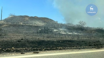 Λαϊκή Συσπείρωση: Πρόκληση να αναλάβουν δράση οι ξενοδόχοι στα καμένα