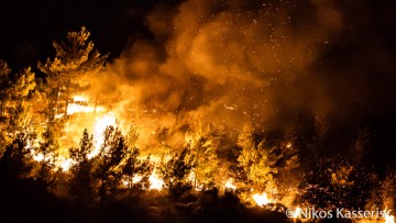 Βασίλειος Δουβής: Η επόμενη μέρα