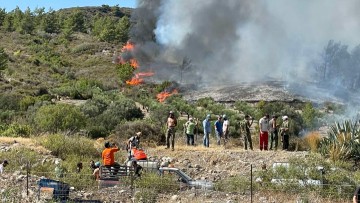 Δύο Γερμανίδες, που βίωσαν τις πυρκαγιές, μιλούν στην DW: «Βγάζω το καπέλο μου στους Ροδίτες»