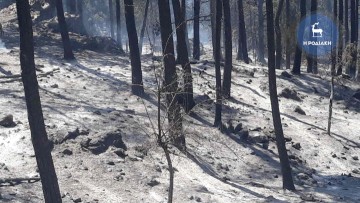 Μ. Καρίκη: Μετά τη φυσική καταστροφή η ψυχολογία της επόμενης ημέρας