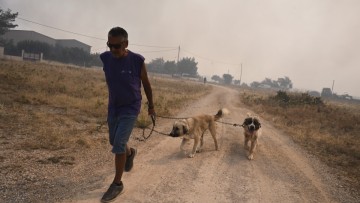 Ανατριχιαστικές οι περιγραφές από τη φωτιά στη Ρόδο – «Γύρω ήταν όλα καμένα και είχε κρανία από ζώα»
