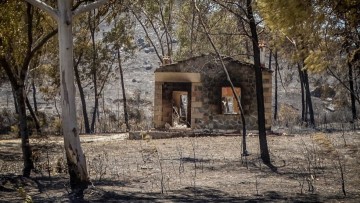 WWF: Ποια είναι η καταστροφή στη Ρόδο - Πώς θα έρθει η αναγέννηση