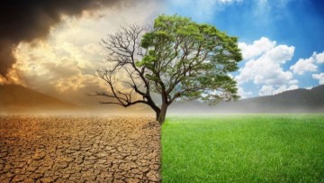 Άγγελος Χατζηγιαννάκης| Ο πλανήτης βράζει: Πώς η κλιματική αλλαγή μπορεί να συντρίψει τη ζωή στη Ρόδο  και τον κόσμο εάν δεν ληφθούν άμεσα μέτρα