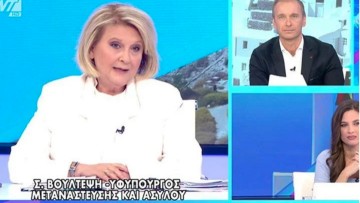 Σ. Βούλτεψη: Στη Ρόδο «οι πιο ευκατάστατοι μετανάστες περνούν σαν τουρίστες»