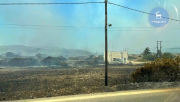 Συνεχείς εργασίες καθαρισμού  και δενδροφυτεύσεων στο Ασκληπειό