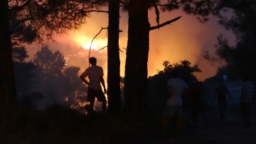 Αικατερίνη Βολονάκη: Επίδραση της πυρκαγιάς στον άνθρωπο