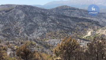 Γιώργος Γεωργαλλίδης: Οι καταστροφικές φωτιές και οι ευθύνες της περιφερειακής αρχής