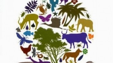 Διεύθυνση Πρωτογενούς Τομέα του δήμου Ρόδου: "Ο σεβασμός που οφείλουμε στα ζώα είναι ίδιος με αυτόν που οφείλουμε στους ανθρώπους"