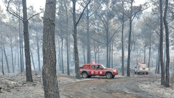 Ρόδος: Μεγάλη πυρκαγιά  μεταξύ Μονολίθου και Κυμισάλας
