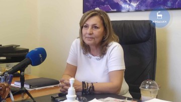 Xαρούλα Γιασιράνη: Πρέπει να γίνεται γρήγορα  η καταγραφή των μεταναστών στο νησί μας