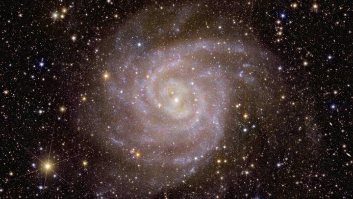 Ο σπειροειδής γαλαξίας IC 342 είναι δύσκολο να παρατηρηθεί γιατί κρύβεται από τον δικό μας Γαλαξία (ESA/Euclid Consortium/NASA)