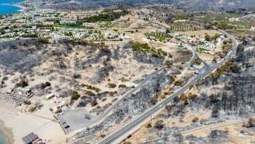 Αναδασωτέα κηρύχθηκαν 151.519 στρέμματα δασικής έκτασης