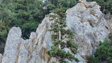 Επιβίωση στο όριο...