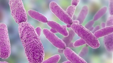 Λοίμωξη από βακτήριο Klebsiella: Μετάδοση, συμπτώματα και αντιμετώπιση