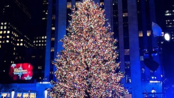 Μηνάς Αλεξιάδης: Του κόσμου τα δέντρα