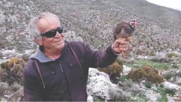 1.000 πέρδικες θα απελευθερωθούν από τον Κυνηγετικό Σύλλογο Καλύμνου
