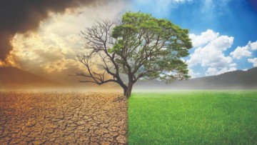 Ιάκωβος Κολαϊνής: «Βρε πώς αλλάζουν οι καιροί» –  Οικολογική ισορροπία σε αναζήτηση