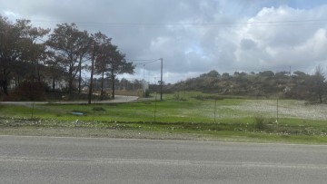 Ελένη Καραγιάννη: Επισκέπτες στα καμένα και αειφόρος ανάπτυξη