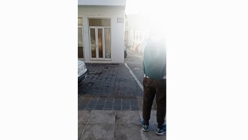 Μηνυτήρια αναφορά κατά παντός υπευθύνου κατέθεσε η φοιτήτρια που δέχθηκε επίθεση σκυλιών στη Ρόδο