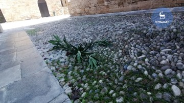 Αντί για σήμανση ή επισκευή είδαμε... πρασινάδα!