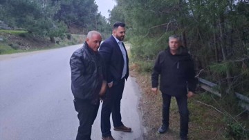 Κ. Στυλιανού: Σε κοπή κλαδιών και δέντρων επικίνδυνων  για την οδική ασφάλεια προβαίνει η Υπηρεσία Πρασίνου