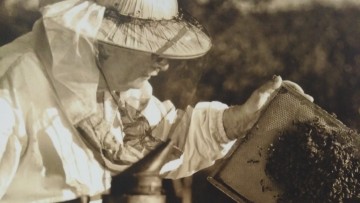 Σεμινάριο για νέους και αρχάριους μελισσοκόμους από το ΚΕΚ Γεννηματάς