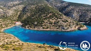 Καταφύγιο Θαλάσσιας Ζωής Αιγαίου:  Ένα αναγκαίο και καινοτόμο εγχείρημα σε αναμονή...