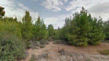 Περιπολία για την προστασία των δασών της Ρόδου