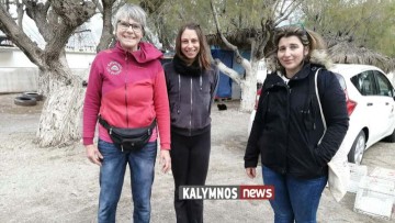 Πολλές οι αδέσποτες γάτες στην Κάλυμνο