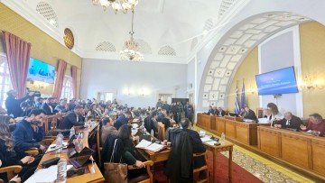 Ομόφωνα οι παρατάξεις του Περιφερειακού Συμβουλίου Νοτίου Αιγαίου ψήφισαν υπέρ της ανάγκης μείωσης του αριθμού των ελαφιών στο νησί της Ρόδου