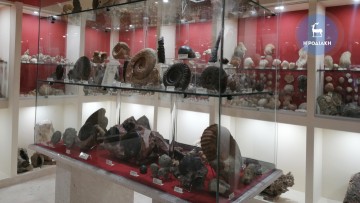 Νέα σημαντικά ευρήματα εκτίθενται στο Μουσείο Ορυκτολογίας και Παλαιοντολογίας στη Ρόδο