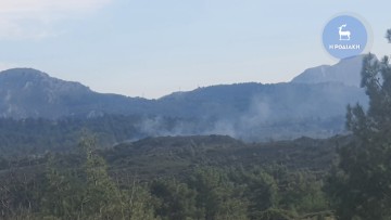 Φωτιά ξέσπασε ανάμεσα στα χωριά Αφάντου και Ψίνθου