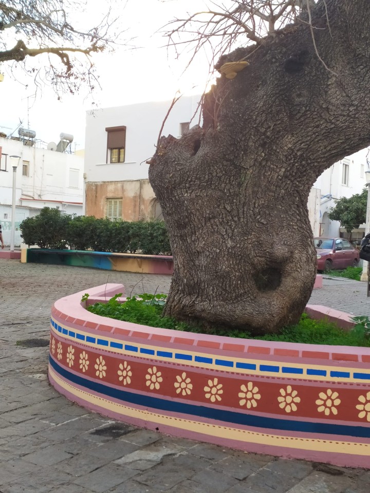 Πλατεία Θεμιστοκλέους Σοφούλη