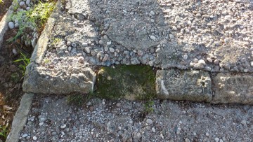 Ευαγγελία Παναή: Ασέβεια και απρέπεια απέναντι στον χώρο της Φιλερήμου