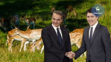 Συμφωνία Μητσοτάκη – Τριντώ για τη μεταφορά 5.000 ελαφιών από τη Ρόδο σε πάρκο του Καναδά*