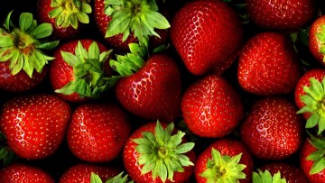 Ιωάννης Βολανάκης: Χαμαικέρασος η λεπτή (Fragaria  vesca),κοινώς φράουλα