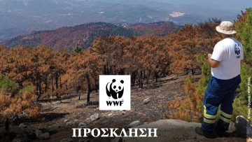 Συζήτηση με τη WWF για τις δασικές πυρκαγιές της Ρόδου την Τετάρτη στο ΕΚΡ
