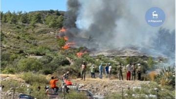 Συνεδριάζει το Συντονιστικό για την πυροπροστασία των δασών