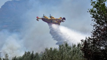 Αντιπυρική περίοδος: Εννέα μέτρα για τη δασοπυρόσβεση