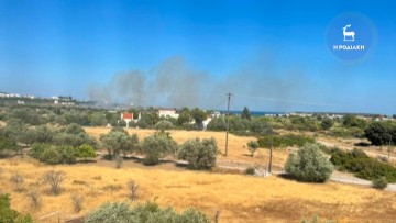 Υπό πλήρη έλεγχο η φωτιά που ξέσπασε ανάμεσα σε Κολύμπια -  Αφάντου