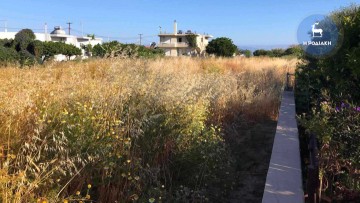 Προ των πυλών βρίσκεται ο πρώτος καύσωνας στα νησιά μας