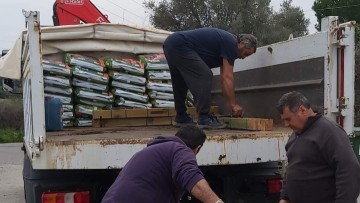 Συνεχίζονται οι παραδόσεις φυτών σε όλο το Νότιο Αιγαίο από το περιφερειακό φυτώριο