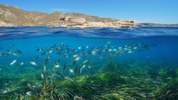 Αναστάσιος Κωνσταντάρος: Βιώσιμη Ανάπτυξη του Θαλάσσιου Τουρισμού