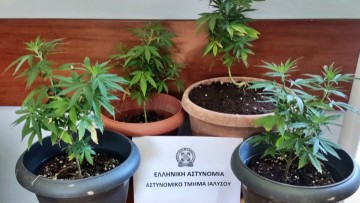 Συνελήφθη Γερμανός για δενδρύλλια και ενδοοικογενειακή βία