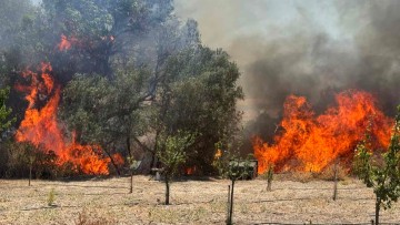 Χρήστος Γιαννούτσος: Πέρυσι η Ρόδος, φέτος η Κως και η Χίος... μετά;