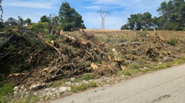 Ακαθάριστα οικόπεδα: Πάνω από 515.000 δηλώσεις καθαρισμού στη σχετική πλατφόρμα