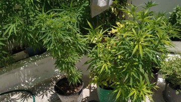 Ακυρώθηκε η διαδικασία για την καταδίκη 61χρονου