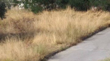 Αλαλούμ... με τους καθαρισμούς οικοπέδων