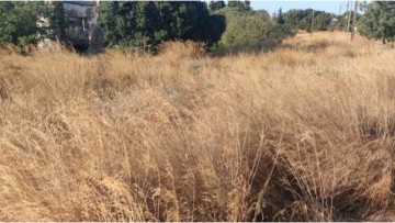 Γιάννης Σταυλάς: Το σύστημα καταπολέμησης  των δασικών πυρκαγιών